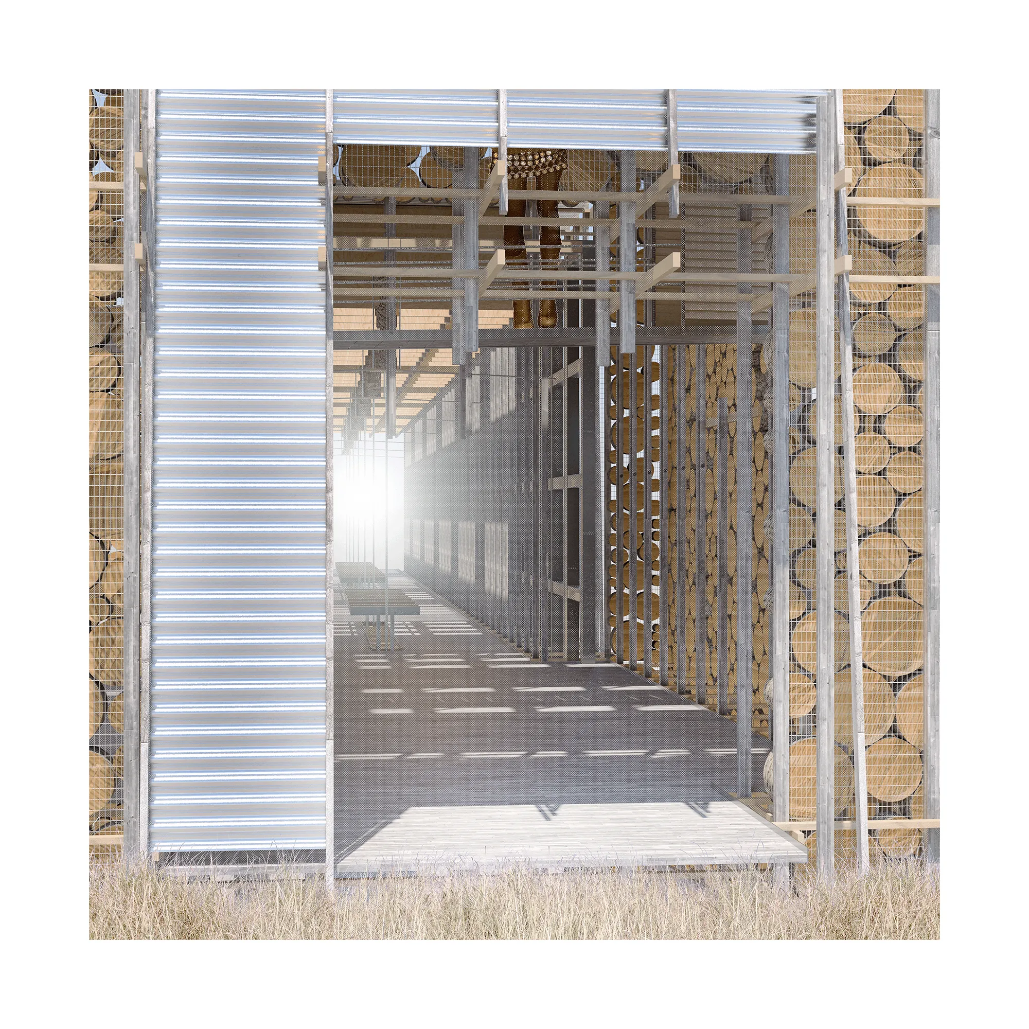 The Rhine Timber Corridor cover image