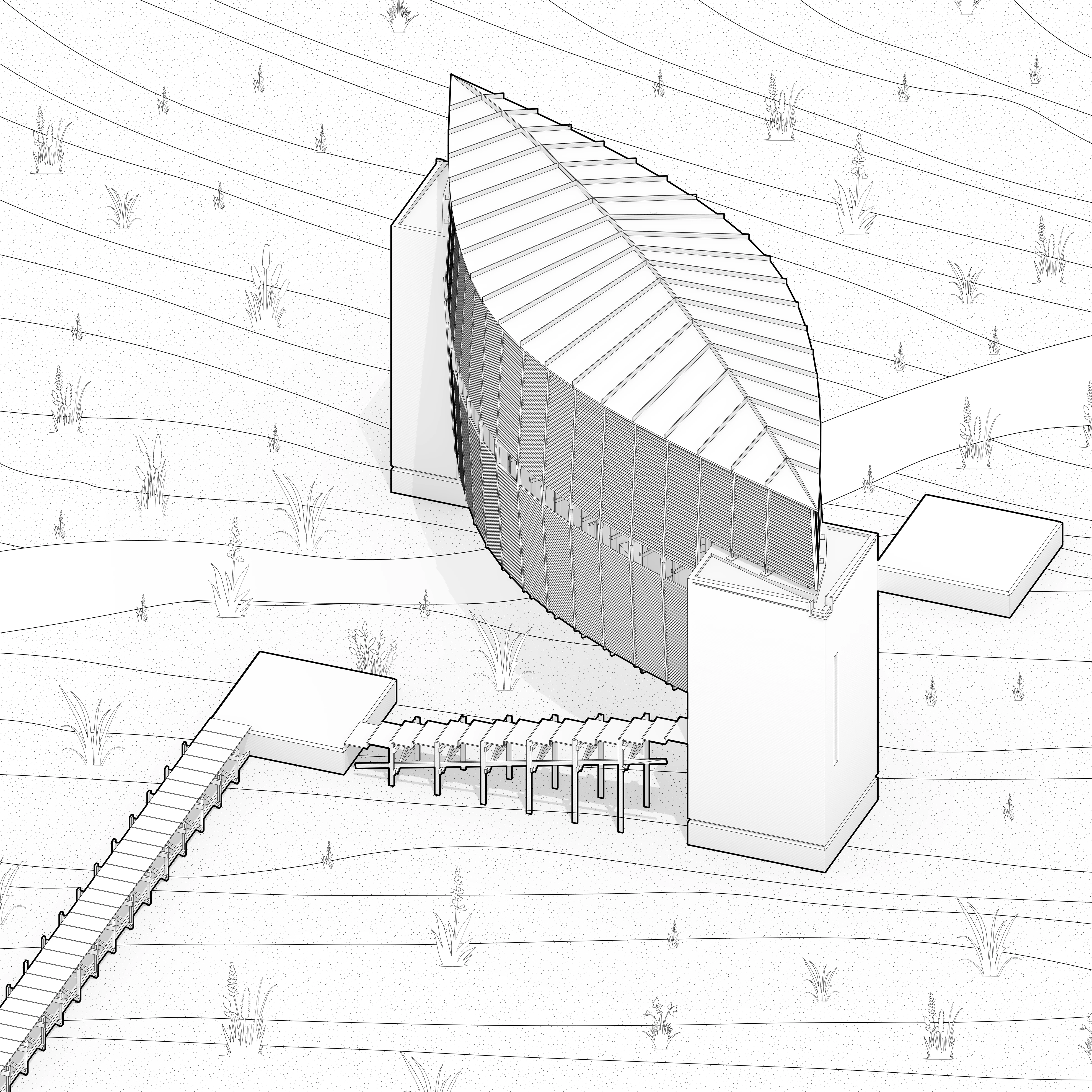 Isometric drawing from the south of a long lens-shaped building with a ribbed timber roof like an upturned boat hull, carried between two concrete towers, with a boardwalk crossing the grass on slender posts to reach it.